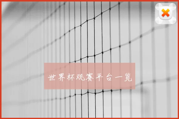 世界杯观赛平台一览